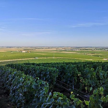 Gite "La Bulle De Lena" Avec Petit-Dejeuner Garage Et Parking Flavigny Dış mekan fotoğraf