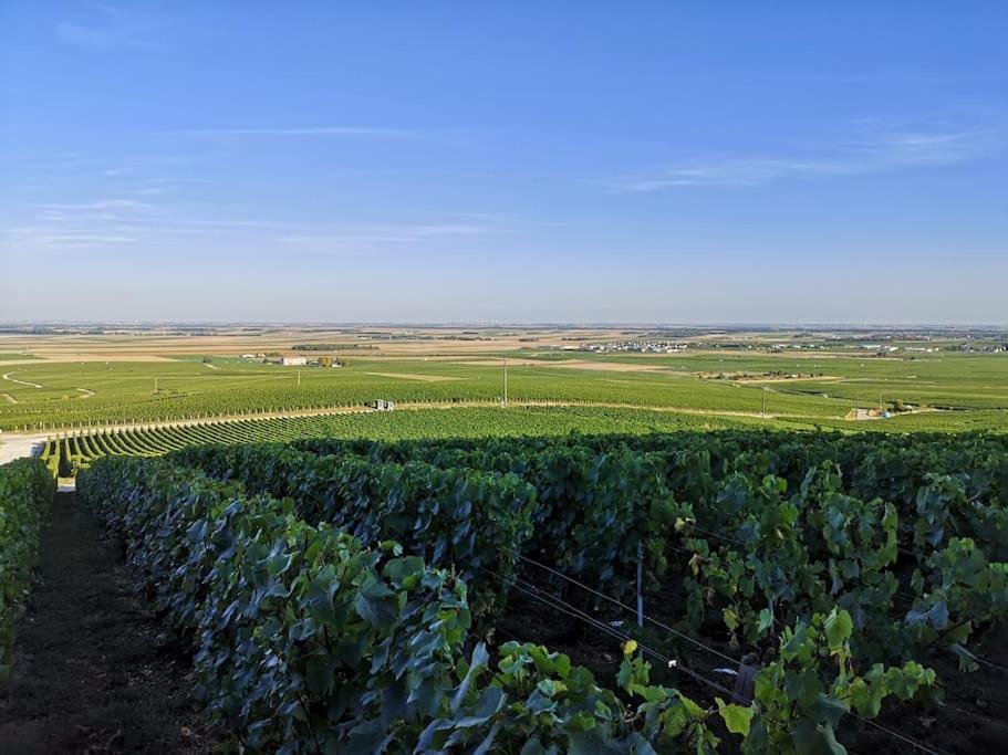 Gite "La Bulle De Lena" Avec Petit-Dejeuner Garage Et Parking Flavigny Dış mekan fotoğraf